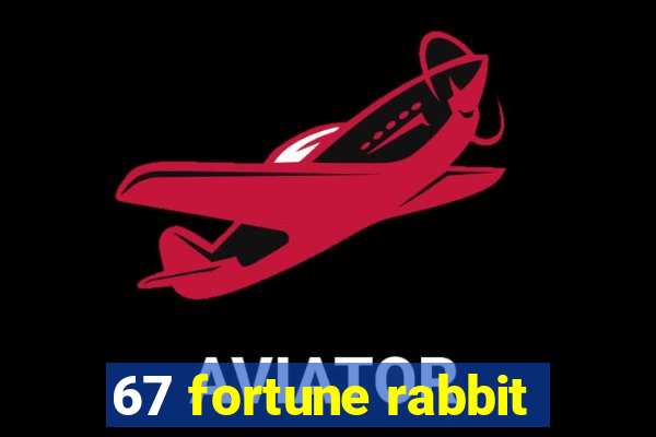 67 fortune rabbit